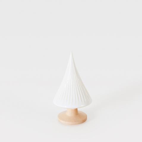 Pinheiro Pequeno, Laboratório d'estórias