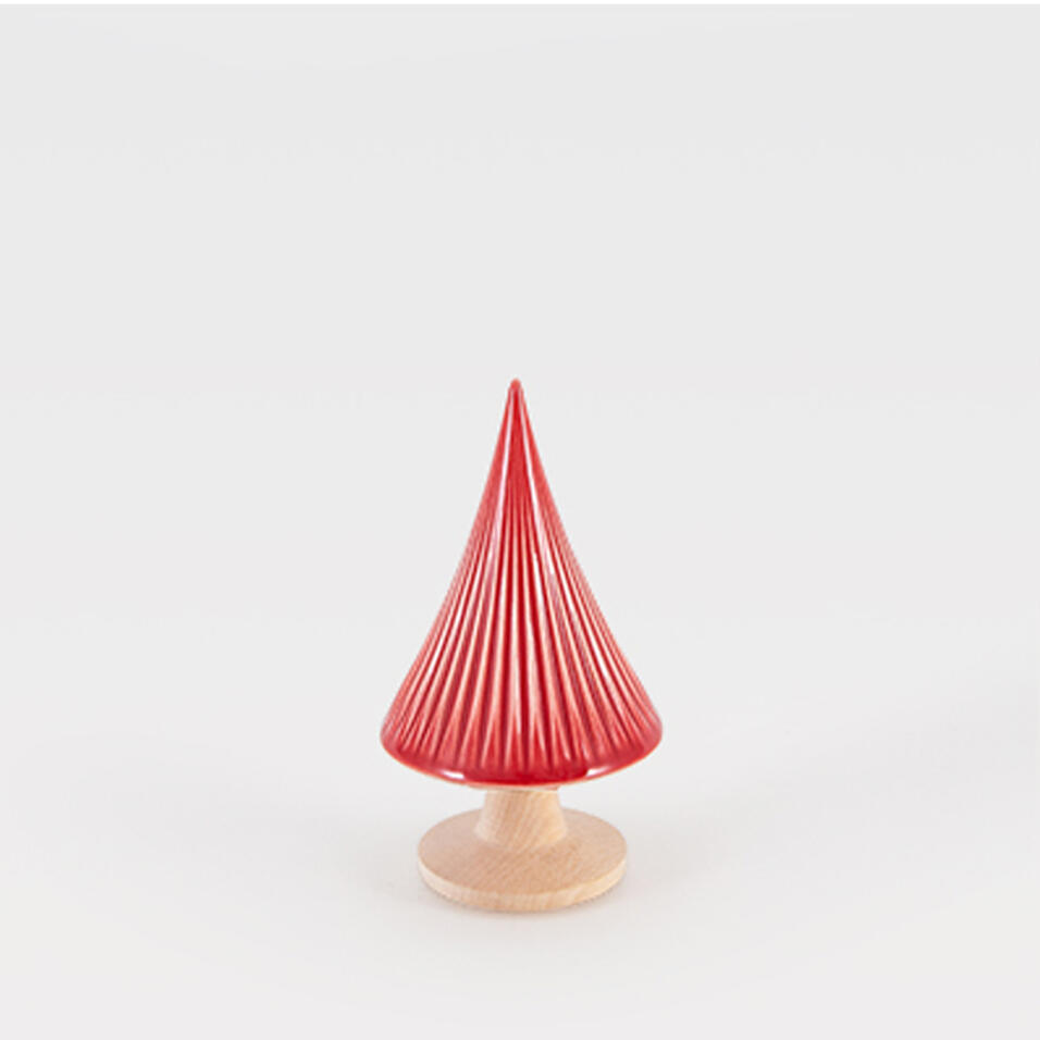 Pinheiro Pequeno, Laboratório d'estórias