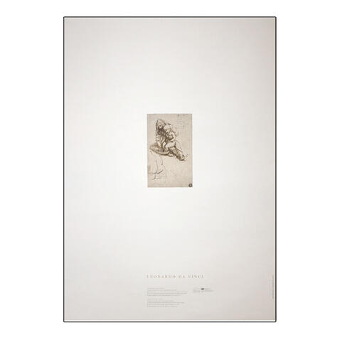 Reprodução Leonardo Da Vinci