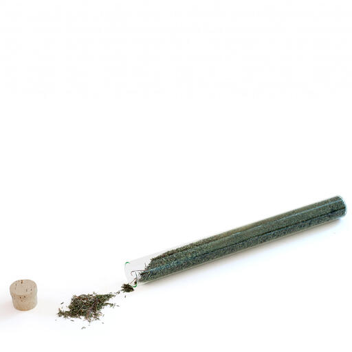 Chá &ldquo;Alecrim&rdquo;